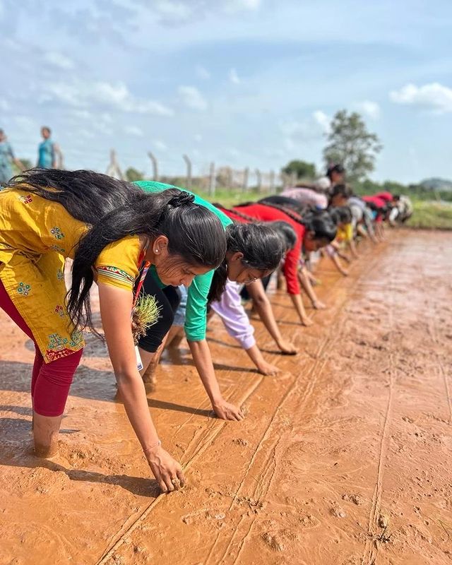 sindhu