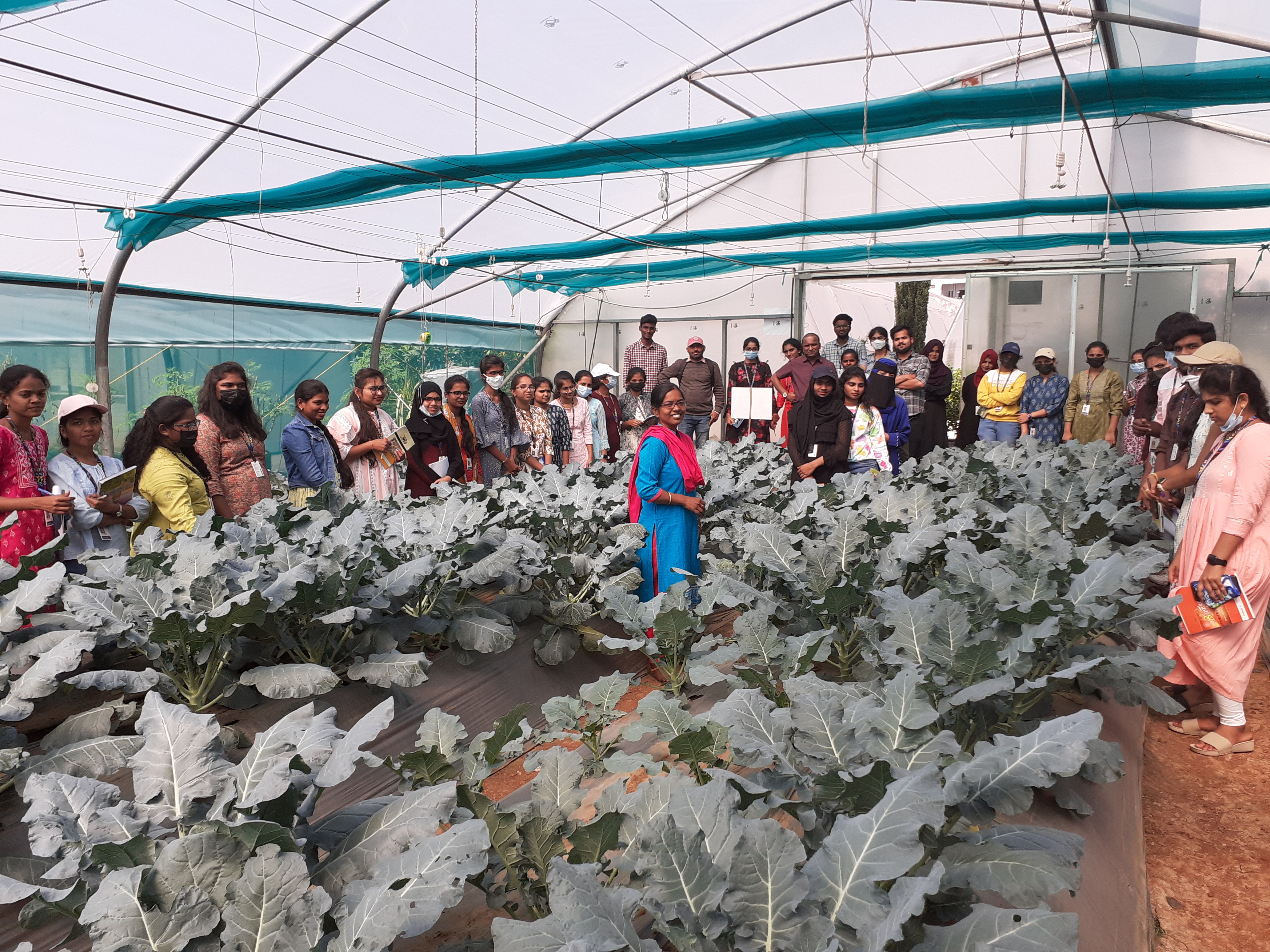 Visit to Adrish, Zero Waste Organic Store