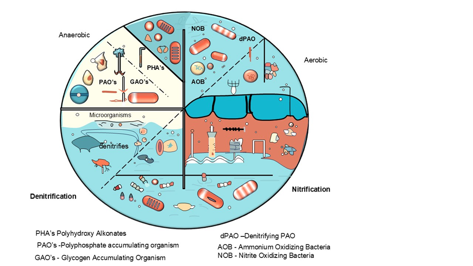 SR Projects, SR University