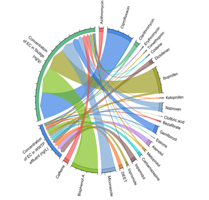 SR Projects, SR University