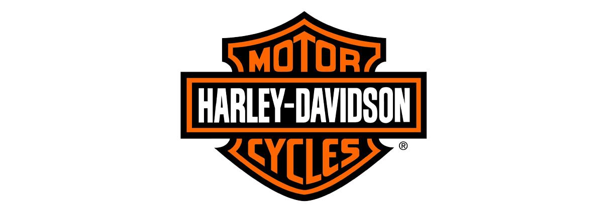 partner-logo